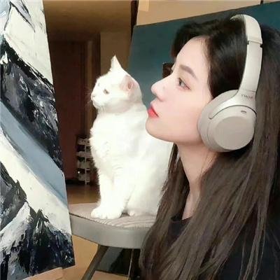 歌手 当打之年